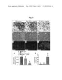 Method for Inhibiting Angiogenesis diagram and image