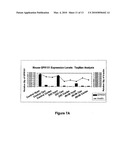 USE OF GPR101 RECEPTOR IN METHODS TO IDENTIFY MODULATORS OF HYPOTHALAMIC PROOPIOMELANOCORTIN (POMC)-DERIVED BIOLOGICALLY ACTIVE PEPTIDE SECRETION USEFUL IN THE TREATMENT OF POMC-DERIVED BIOLOGICALLY diagram and image