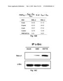 NA+K+-ATPase-Specific Peptide Inhibitors/Activators of SRC and SRC Family Kinases diagram and image