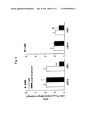 USE OF ARGINASE INHIBITORS IN THE TREATMENT OF ASTHMA AND ALLERGIC RHINITIS diagram and image