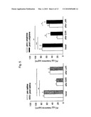 USE OF ARGINASE INHIBITORS IN THE TREATMENT OF ASTHMA AND ALLERGIC RHINITIS diagram and image