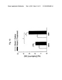 USE OF ARGINASE INHIBITORS IN THE TREATMENT OF ASTHMA AND ALLERGIC RHINITIS diagram and image