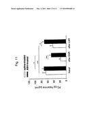 USE OF ARGINASE INHIBITORS IN THE TREATMENT OF ASTHMA AND ALLERGIC RHINITIS diagram and image