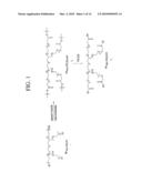 METHOD OF TREATING RAS ASSOCIATED CANCER diagram and image