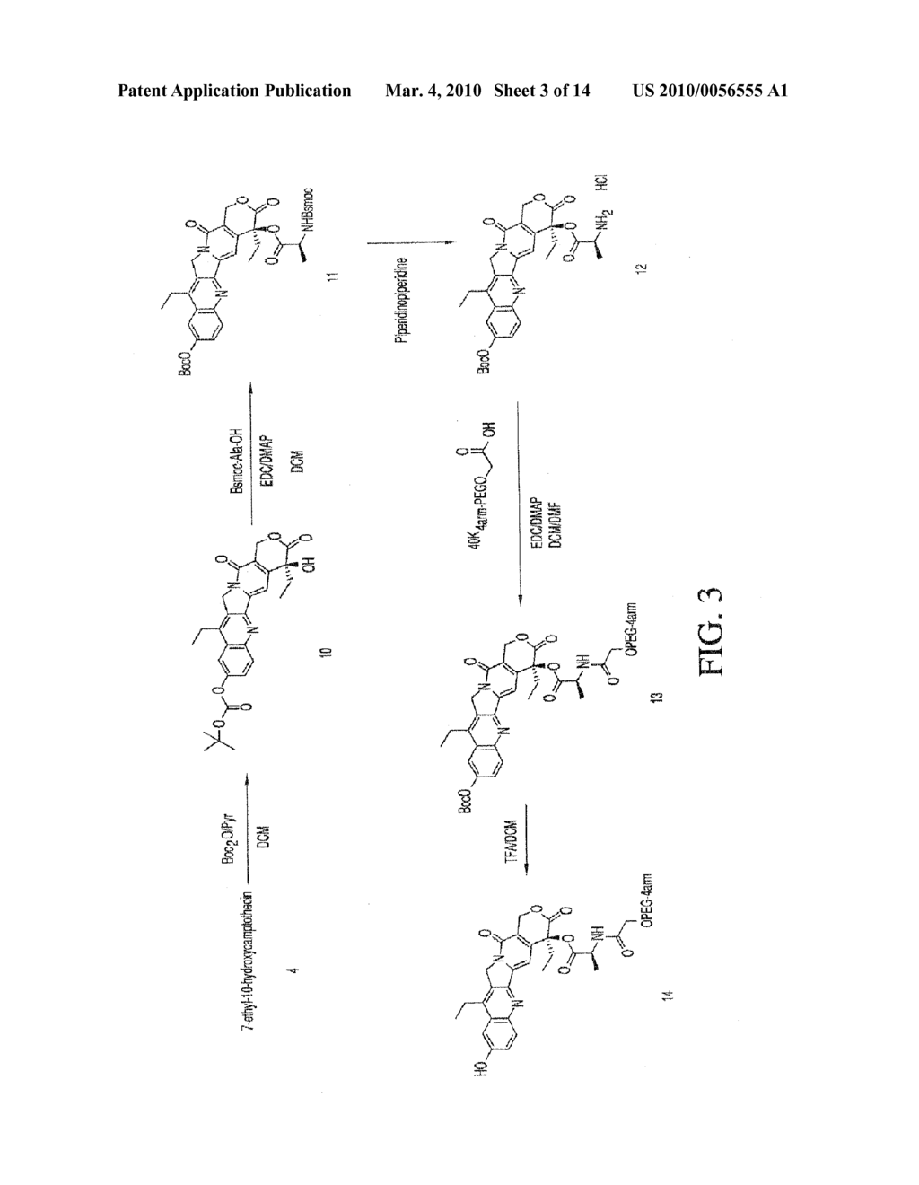 METHOD OF TREATING RAS ASSOCIATED CANCER - diagram, schematic, and image 04