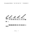 Chroman-Derived Anti-Androgens For Treatment of Androgen-Mediated Disorders diagram and image