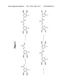 NOVEL PROTEIN KINASE MODULATORS AND THERAPEUTIC USES THEREOF diagram and image