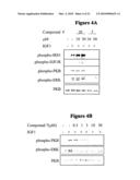 NOVEL PROTEIN KINASE MODULATORS AND THERAPEUTIC USES THEREOF diagram and image