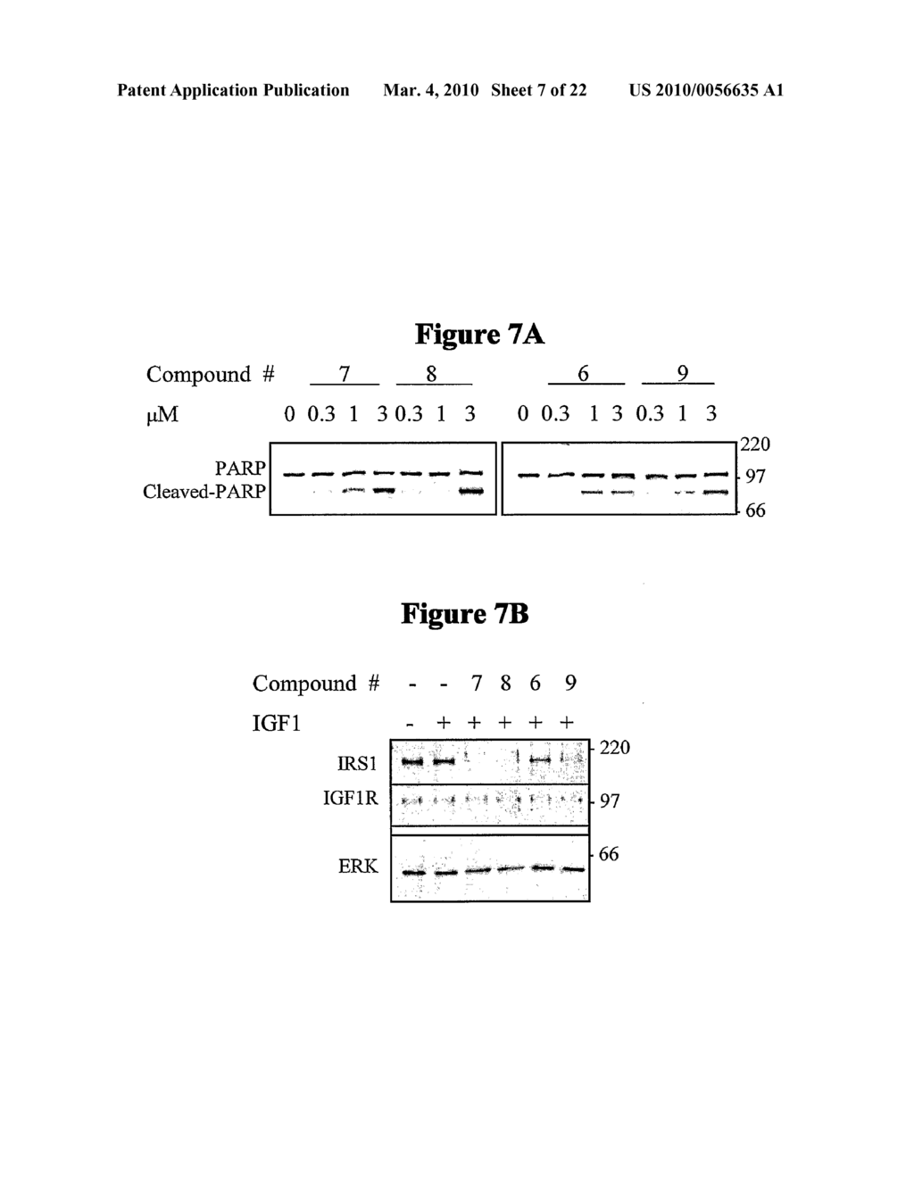 NOVEL PROTEIN KINASE MODULATORS AND THERAPEUTIC USES THEREOF - diagram, schematic, and image 08