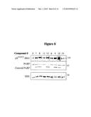NOVEL PROTEIN KINASE MODULATORS AND THERAPEUTIC USES THEREOF diagram and image