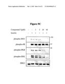 NOVEL PROTEIN KINASE MODULATORS AND THERAPEUTIC USES THEREOF diagram and image