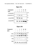 NOVEL PROTEIN KINASE MODULATORS AND THERAPEUTIC USES THEREOF diagram and image