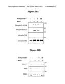 NOVEL PROTEIN KINASE MODULATORS AND THERAPEUTIC USES THEREOF diagram and image