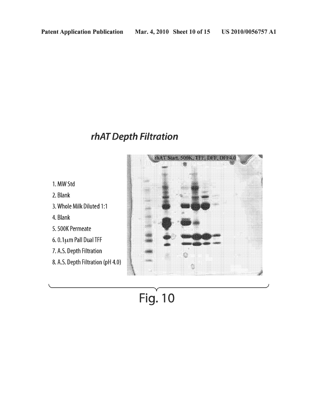 CLARIFICATION OF TRANSGENIC MILK USING DEPTH FILTRATION - diagram, schematic, and image 11