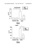 SELECTIVE INHIBITORS OF CB2 RECEPTOR EXPRESSION AND/OR ACTIVITY FOR THE TREATMENT OF OBESITY AND OBESITY-RELATED DISORDERS diagram and image