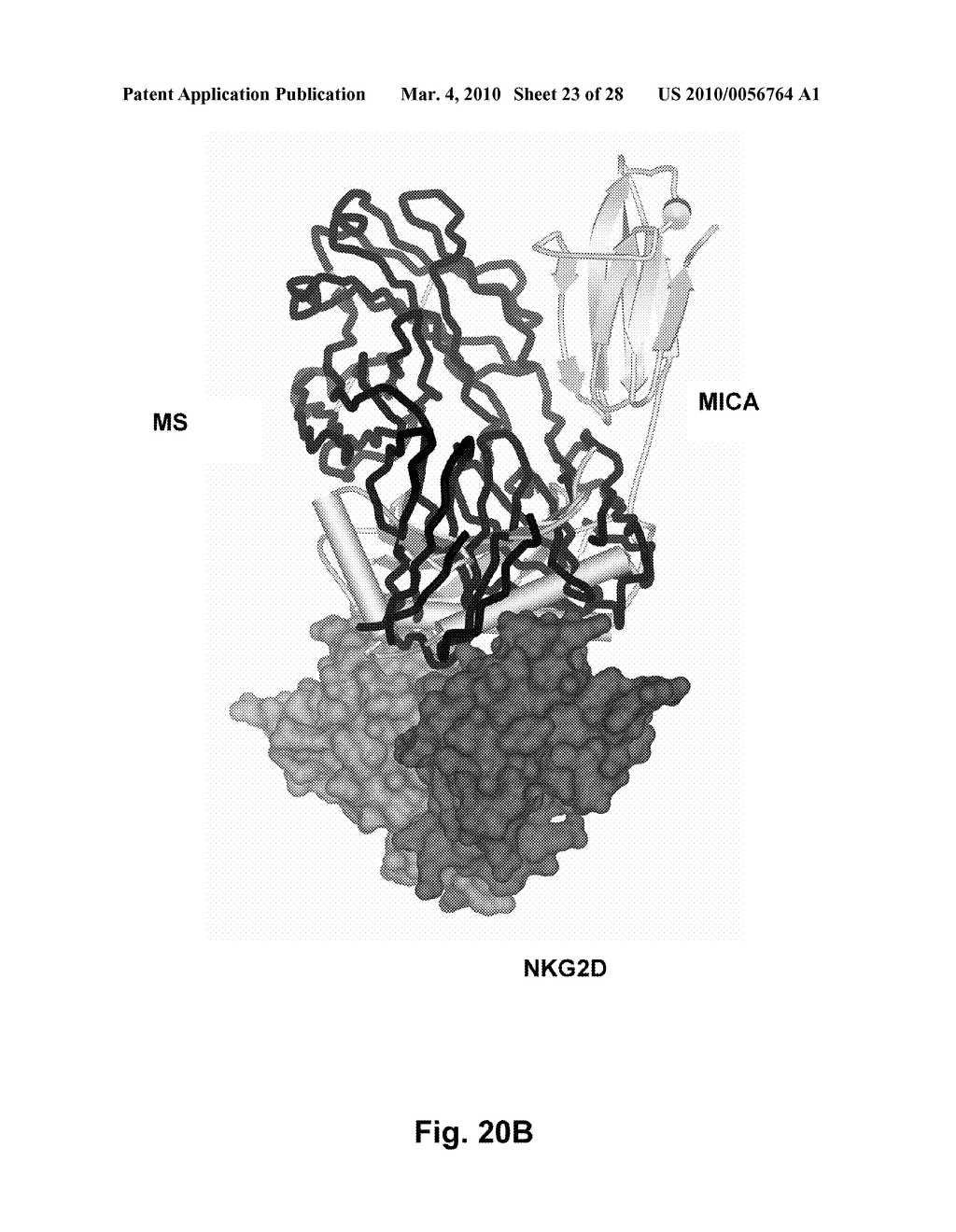 Antibodies against human NKG2D and uses thereof - diagram, schematic, and image 24