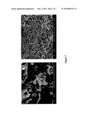 PROCESS FOR PURE MONTELUKAST SODIUM THROUGH PURE INTERMEDIATES AS WELL AS NOVEL AMINE SALTS diagram and image