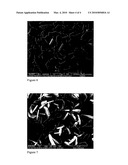 SHAPED POROUS BODIES OF ALPHA-ALUMINA AND METHODS FOR THE PREPARATION THEREOF diagram and image