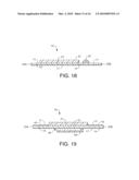 DYNAMIC FITTING BODY ADHERING ABSORBENT ARTICLE diagram and image