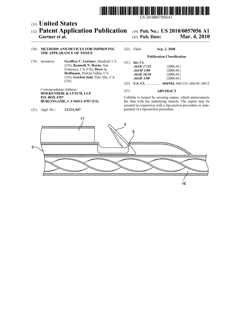 Methods and devices for improving the appearance of tissue - diagram, schematic, and image 01