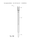 BRANCH STENT GRAFT FOR AORTIC ANEURYSM REPAIR diagram and image