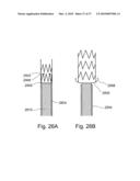 BRANCH STENT GRAFT FOR AORTIC ANEURYSM REPAIR diagram and image