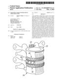 PEEK Spinal Mesh and PEEK Spinal Mesh Applicator diagram and image