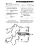 INTERIOR AND EXTERIOR SUPPORT SYSTEM FOR INTERVERTEBRAL DISC REPAIR diagram and image