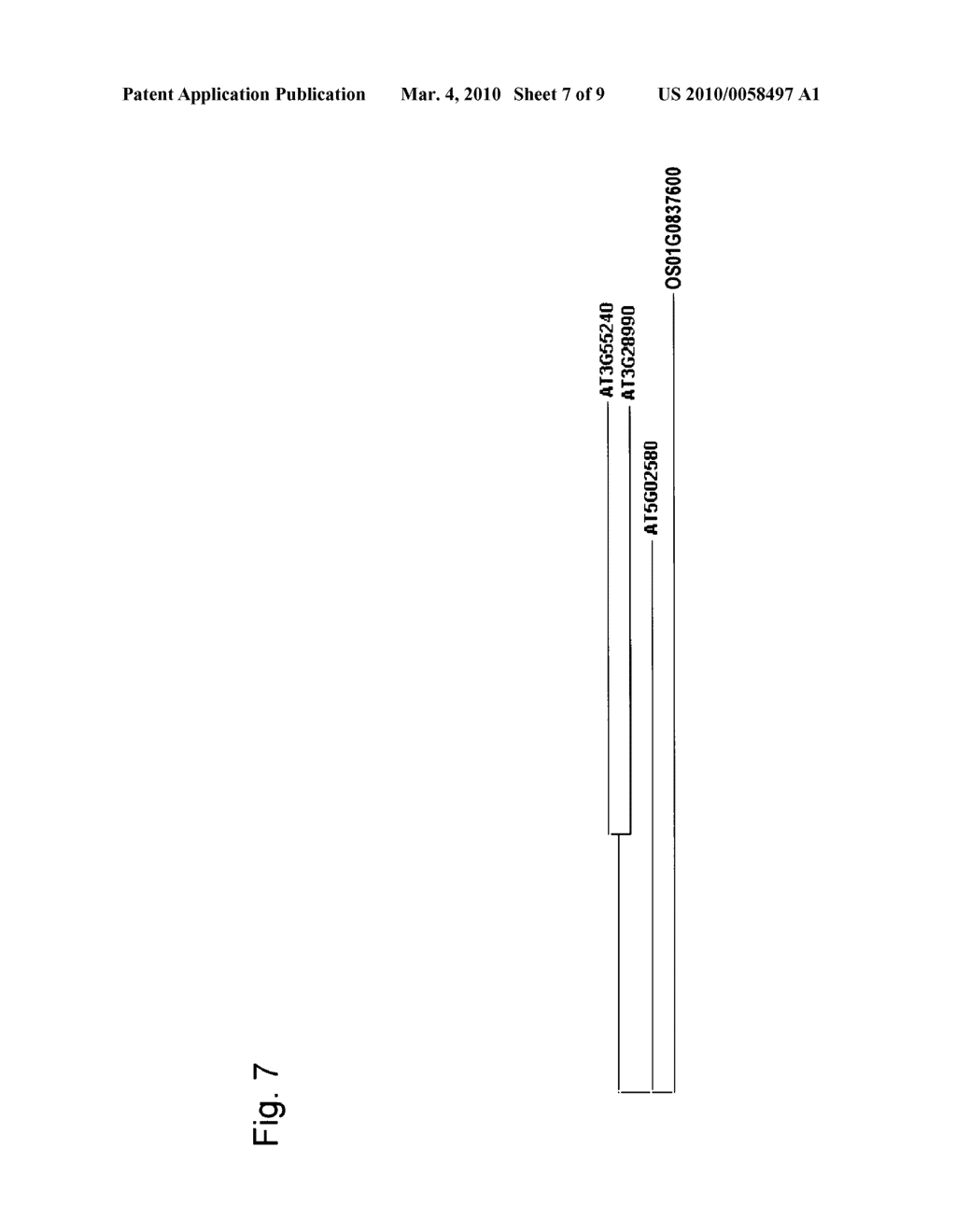 EARLY-MATURING TRANSFORMED PLANT - diagram, schematic, and image 08