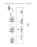 METHOD FOR DETECTING BIOMOLECULES AND USE THEREOF diagram and image