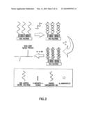 METHOD FOR DETECTING BIOMOLECULES AND USE THEREOF diagram and image