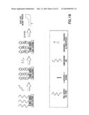 METHOD FOR DETECTING BIOMOLECULES AND USE THEREOF diagram and image