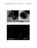 Carbon Coated Magnetic Nanoparticles and Their Use in Separation Processes diagram and image