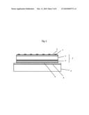 Light Emitting Device diagram and image