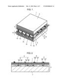 PLASMA DISPLAY PANEL diagram and image