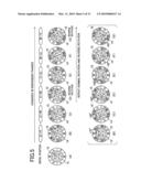 Brushless motor starting method and control device diagram and image