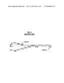 CALIBRATION CIRCUIT, ON DIE TERMINATION DEVICE AND SEMICONDUCTOR MEMORY DEVICE USING THE SAME diagram and image