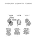 Fingerprint authentication device, fingerprint authentication program, and fingerprint authentication method diagram and image