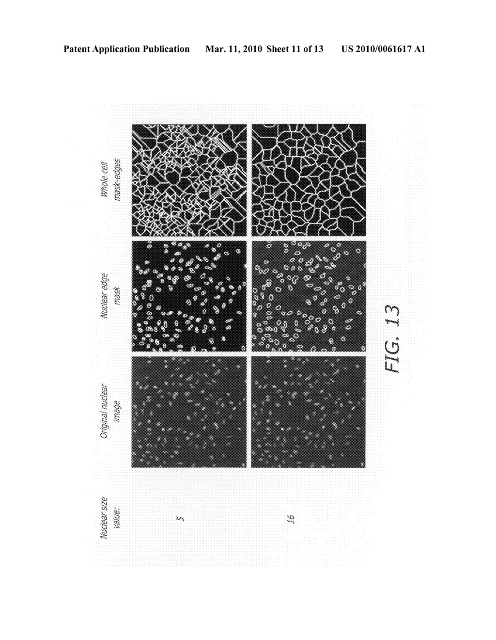 User interface method and system for management and control of automated image processing in high content screening or high throughput screening - diagram, schematic, and image 12