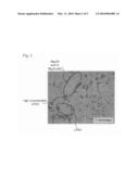 MAGNESIUM ALLOY MATERIAL AND METHOD FOR MANUFACTURING THE SAME diagram and image