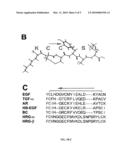 ErbB-2 RECEPTOR TARGETING PEPTIDE diagram and image