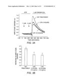 Compositions and Methods for Modulating Store-Operated Calcium Entry diagram and image