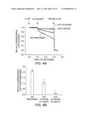 Compositions and Methods for Modulating Store-Operated Calcium Entry diagram and image