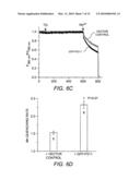 Compositions and Methods for Modulating Store-Operated Calcium Entry diagram and image