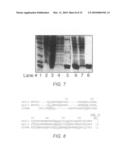 Compositions and Methods for Modulating Store-Operated Calcium Entry diagram and image