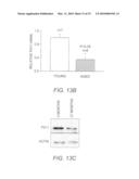 Compositions and Methods for Modulating Store-Operated Calcium Entry diagram and image