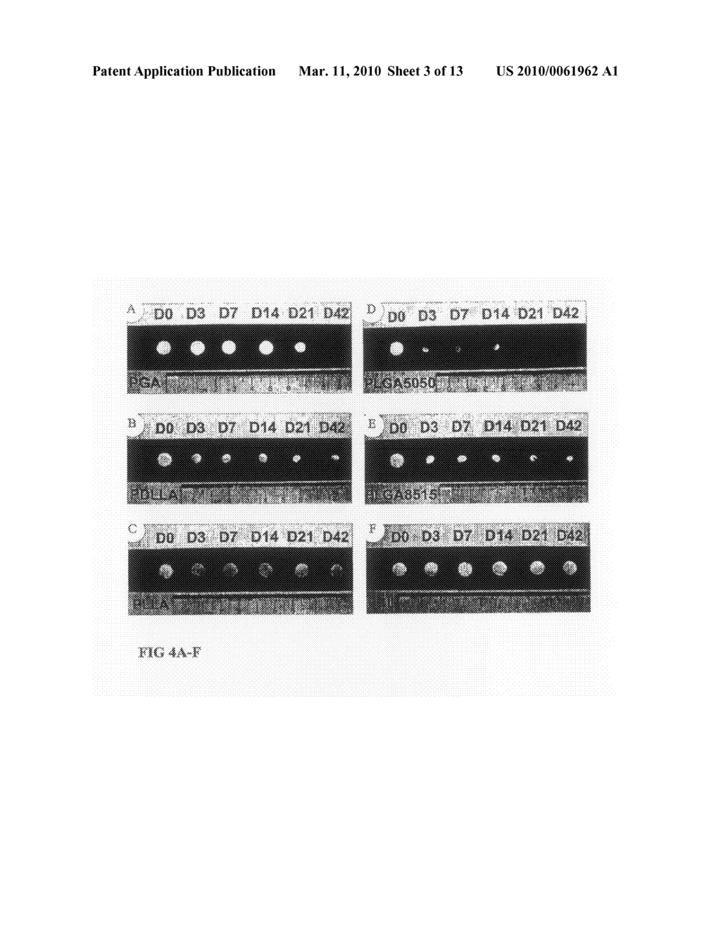 Tissue Engineered Cartilage, Method of Making Same, Therapeutic and Cosmetic Surgical Applications Using Same - diagram, schematic, and image 04