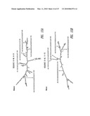 TRANSCOBALAMIN RECEPTOR POLYPEPTIDES, NUCLEIC ACIDS, AND MODULATORS THEREOF, AND RELATED METHODS OF USE IN MODULATING CELL GROWTH AND TREATING CANCER AND COBALAMIN DEFICIENCY diagram and image