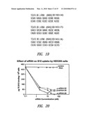 TRANSCOBALAMIN RECEPTOR POLYPEPTIDES, NUCLEIC ACIDS, AND MODULATORS THEREOF, AND RELATED METHODS OF USE IN MODULATING CELL GROWTH AND TREATING CANCER AND COBALAMIN DEFICIENCY diagram and image