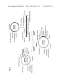 MODIFIED SOLUBLE FGF RECEPTOR FC FUSIONS WSITH IMPROVED BIOLOGICAL ACTIVITY diagram and image